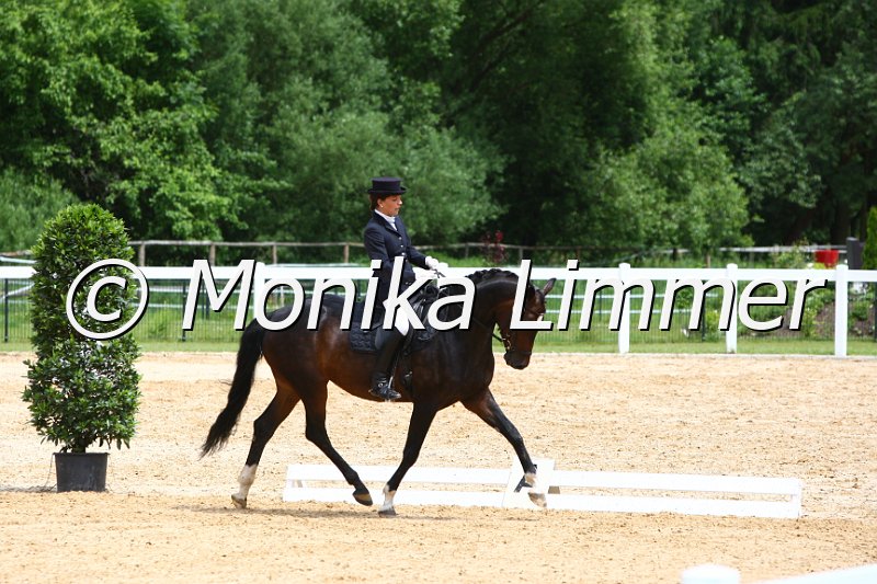 006M5271_Dressurpferde L.JPG